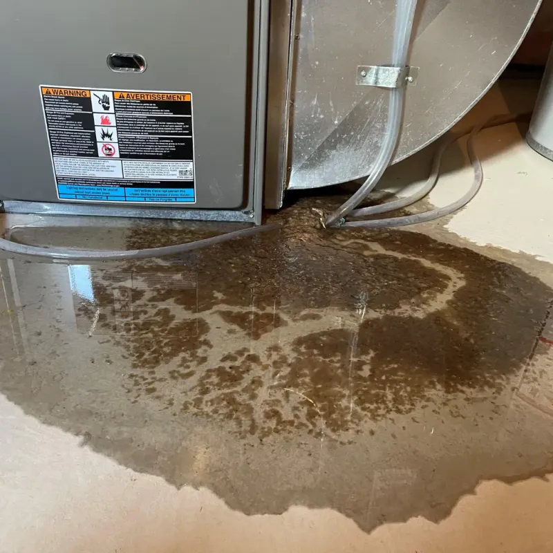 Appliance Leak Cleanup in Saguache, CO