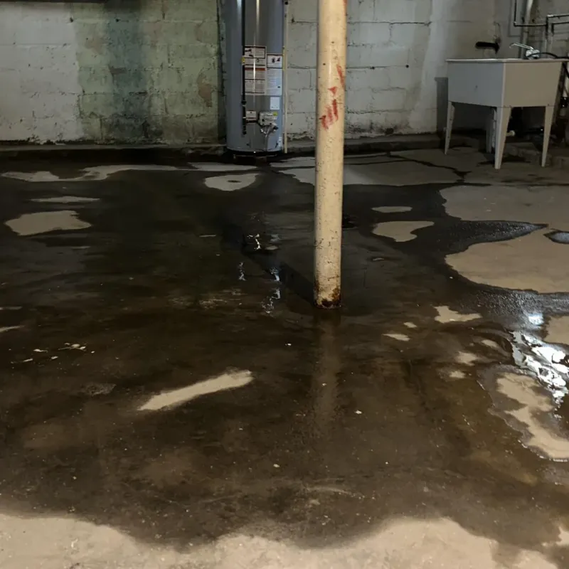 Emergency Water Extraction And Removal in Saguache, CO